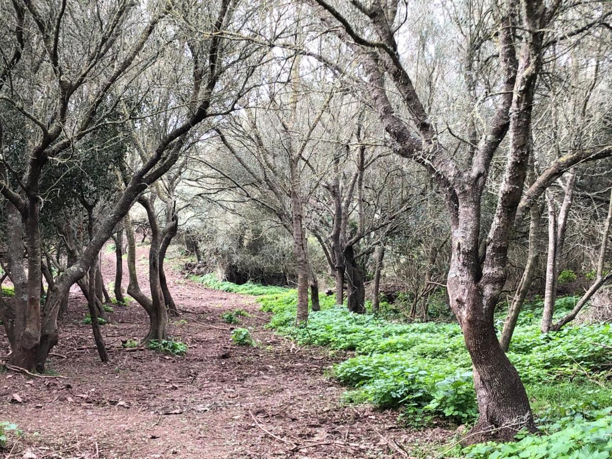 Agroturismo Bini Aumaia Es Mercadal Εξωτερικό φωτογραφία