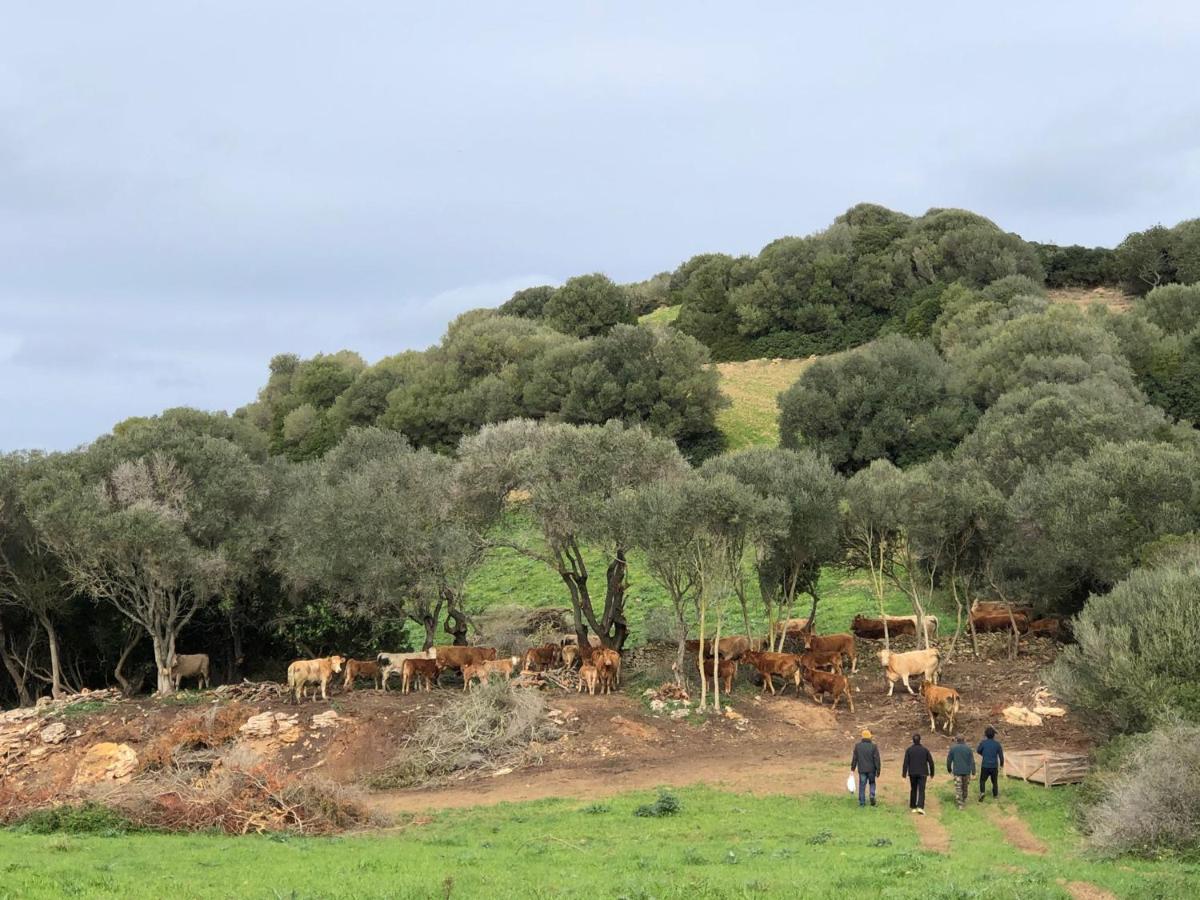 Agroturismo Bini Aumaia Es Mercadal Εξωτερικό φωτογραφία