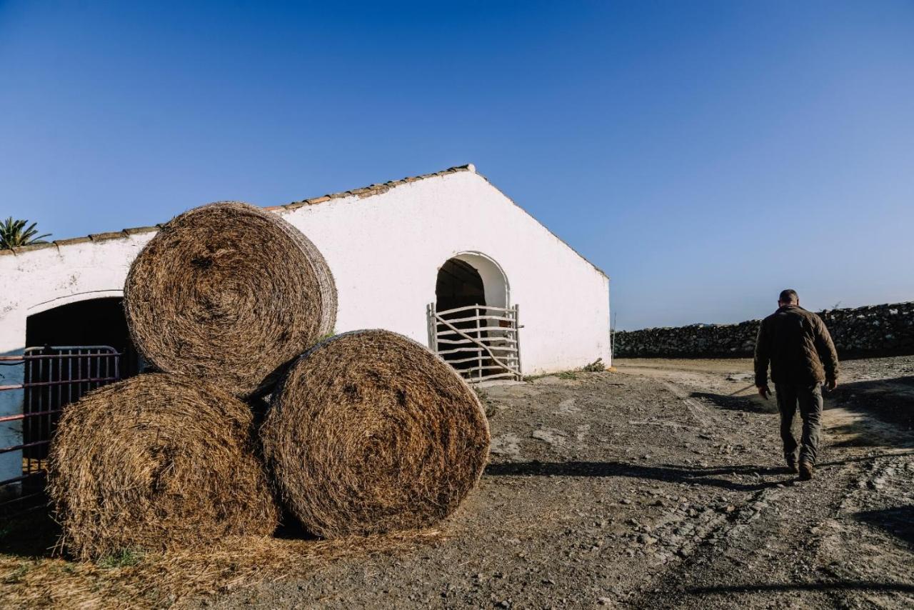 Agroturismo Bini Aumaia Es Mercadal Εξωτερικό φωτογραφία